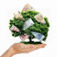 Los últimos 6 años de la asociación en cifras