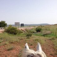 Ruta Ecuestre Doñana-Camarga