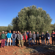 Asistentes al Curso de Poda del Olivar en Povedilla