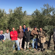 Asistentes al Curso de Poda de Olivar en Jaén y Puerta de Segura