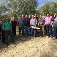 Curso de poda de olivar en Mogón