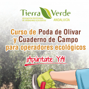 Curso de Poda de Olivar y de Cuaderno de Campo en Jaén