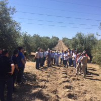 Jornada en Martos sobre “Manejo de suelos y Compostaje en Olivar”