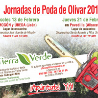 Jornadas de Poda de Olivar – Febrero 2019