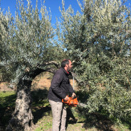 Fotos Jornadas de Poda – Febrero 2019