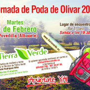 Jornada de poda de Olivar – Febrero 2020