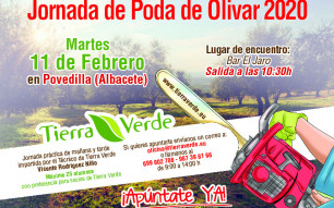Jornada de poda de Olivar – Febrero 2020